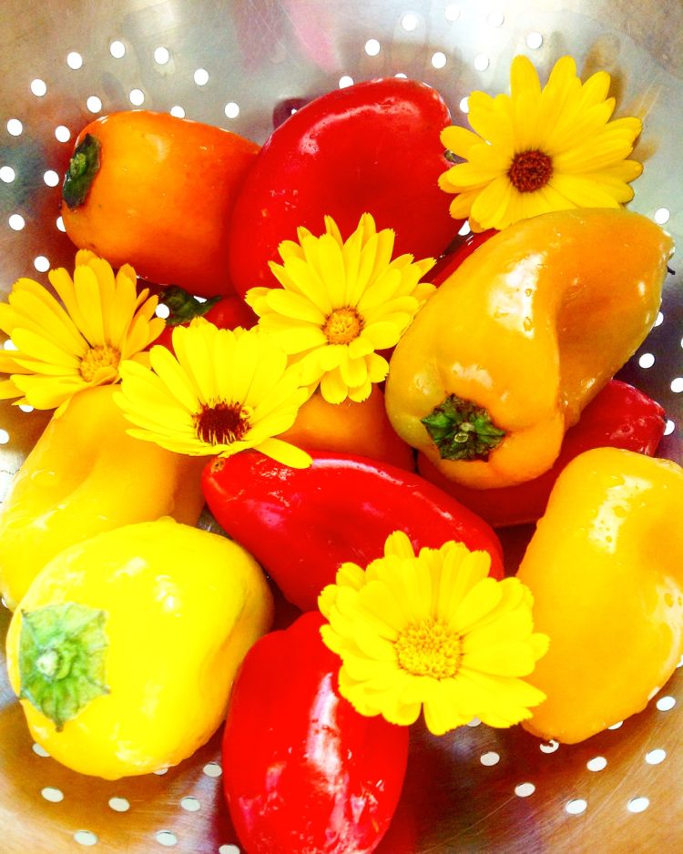 RECETTE DES POIVRONS À L’HUILE D’OLIVE – ♡ Les kifs de Sandra