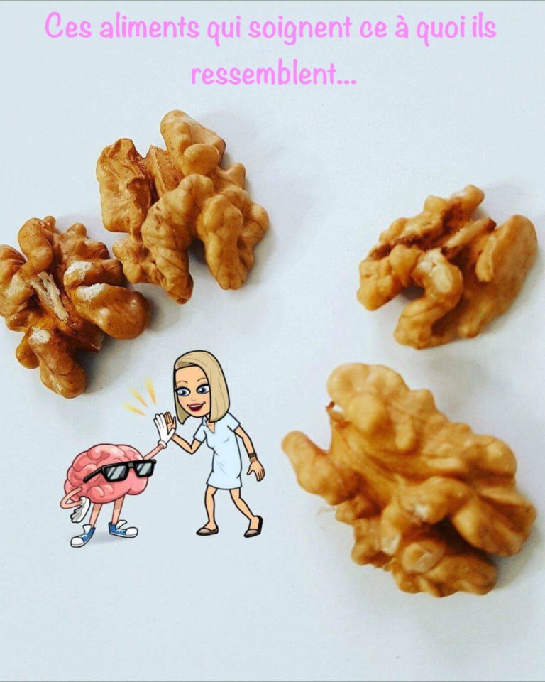 SIMILITUDES ENTRE ALIMENTS ET ORGANES