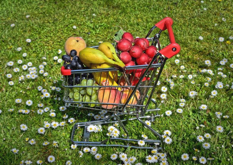 Les pesticides sur les fruits et légumes : comment les éviter